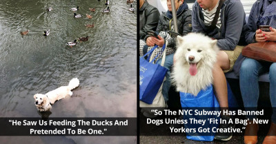 50 Hilarious Ways People Found Loopholes In The Rules They're Supposed To Follow, And Executed Them Flawlessly