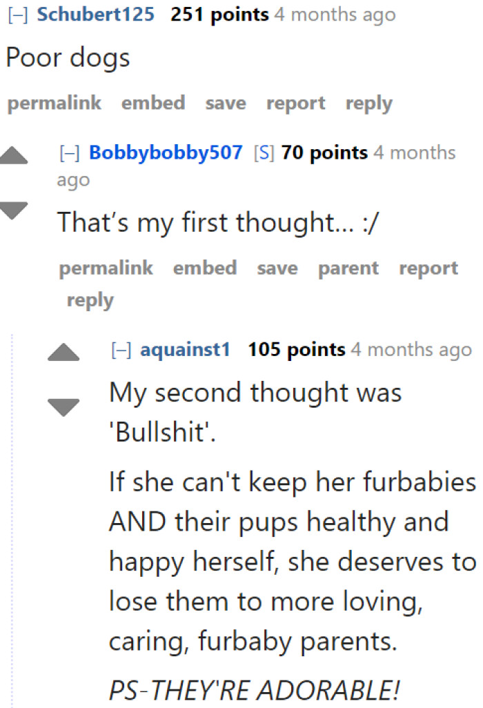 Imagine all the stress that these dogs have to go through. They'll have to handle being in different living situations.