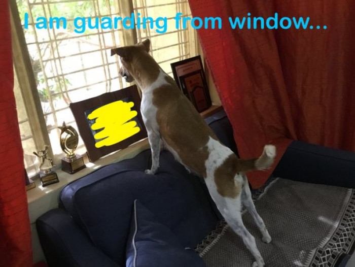 19. "They’ll try to protect you as much as they can…"