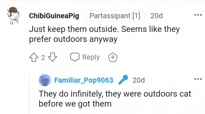Seems like the cats prefer staying outdoors