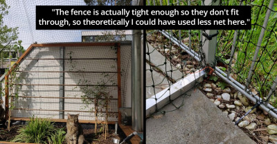 Man Goes Viral After Building A "Cat Prison" So His Cats Can Safely Explore The Outdoors (Videos)