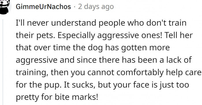 People Should Train Their Dogs