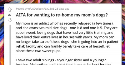 Redditor Wants To Rehome Mom’s Dogs Because She Is Going To Rehab, But Their Sister Won’t Let Them