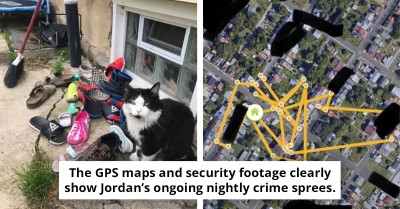 Cat Collects So Many Neighbor's Shoes, Owner Creates Facebook Group To Return Them