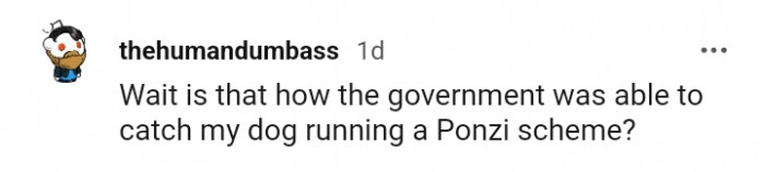 Your dog was running a Ponzi scheme?