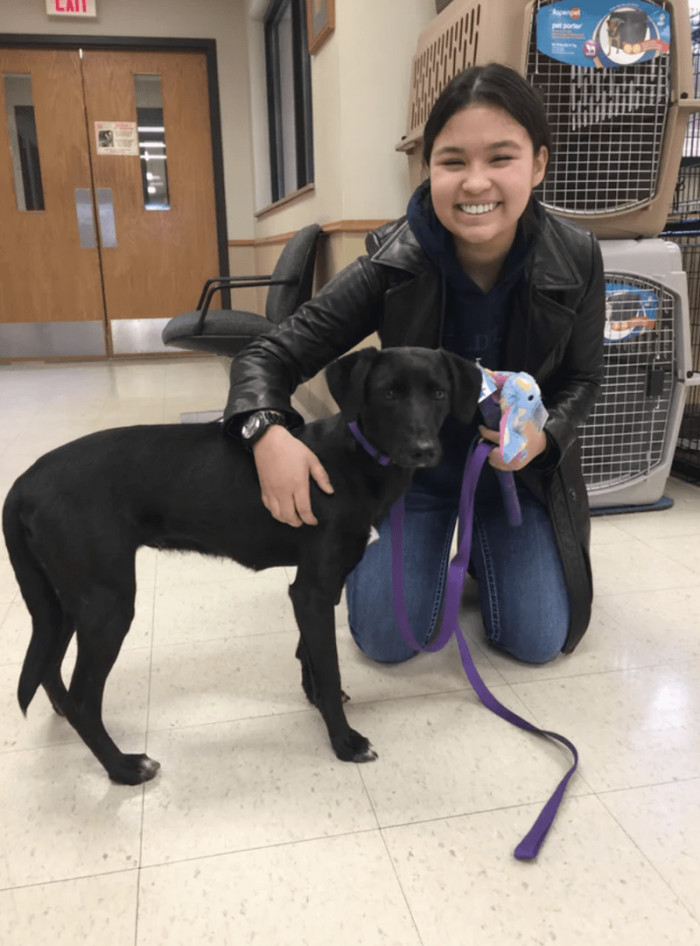 4. "My sweet girl Bella the day I got her..."