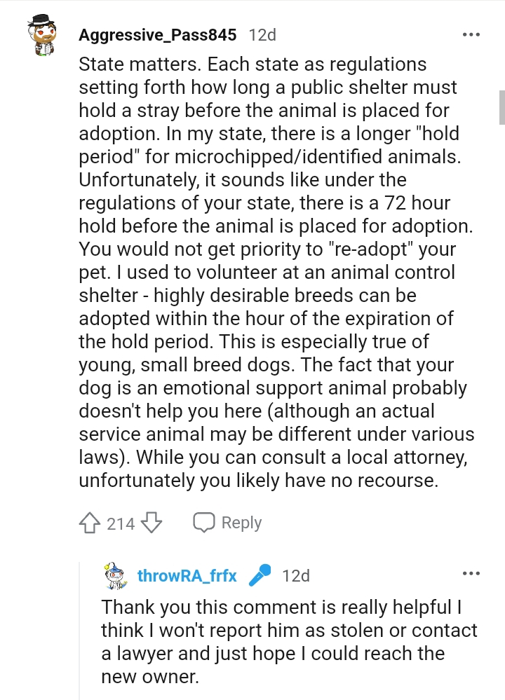 Highly Desirable Breeds Can Be Adopted