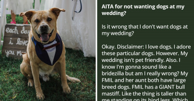 Bride Doesn't Want Dogs At Her Wedding Despite The Groom's Wishes