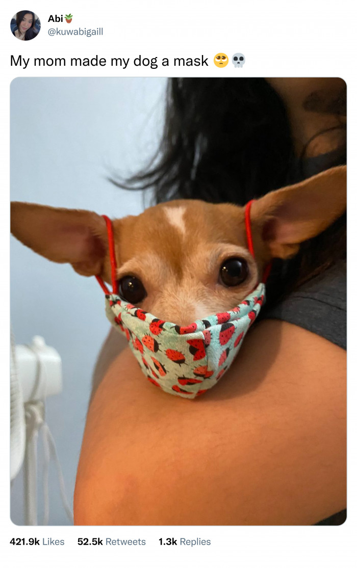 11. This is way too adorable 😭😭😭😭