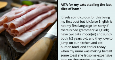Furious Mom Reprimands Redditor Because Their Cats Constantly Steal Her Food