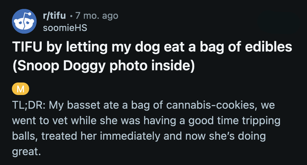 OP shamefully whispered to the doctor that their dog didn't eat chocolate.