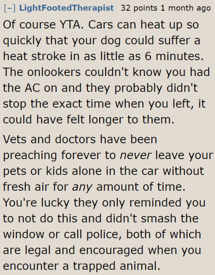 Redditors told the OP off. They believe that dogs shouldn't be left in the car alone because canines can suffer from heatstroke in as little as six minutes.