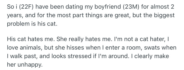 OP is convinced that her boyfriend’s cat hates her because of how agreeable it behaves around her