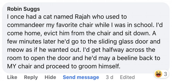 9. Meet Rajah, the commander in chief of chair matters