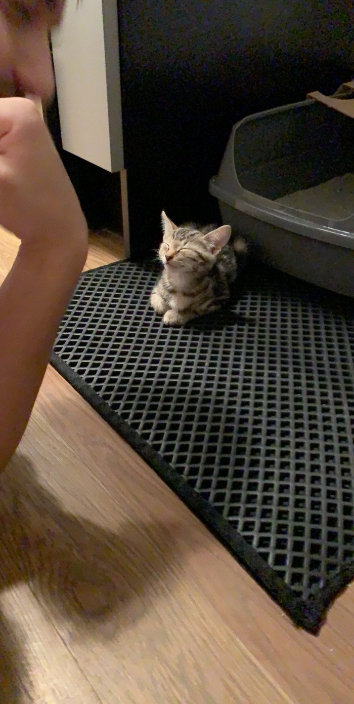 11. Potty Time Champion. They grow up so fast.