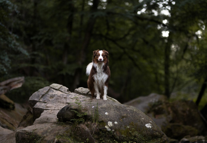 16. I think this one's been in the water