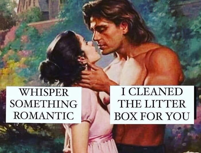 29. I'm down for it