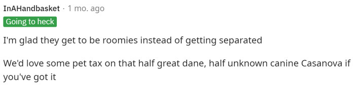 Of course, someone is always asking for the OP to pay pet tax if they talk about their dogs.
