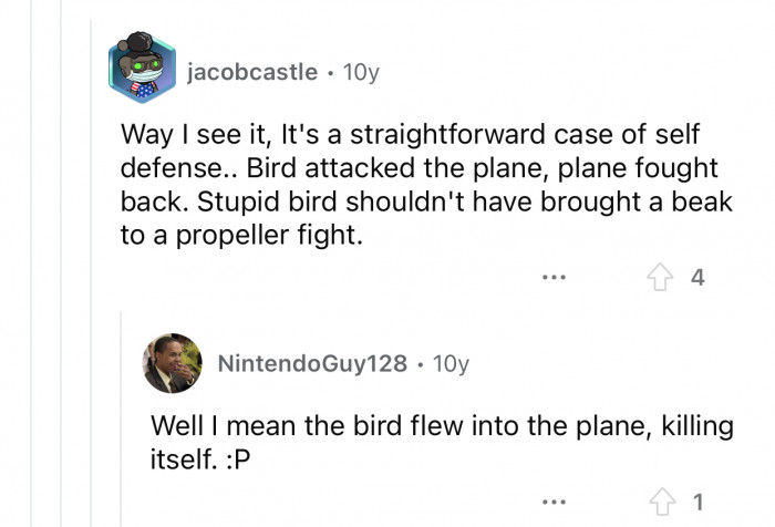 The plane fought back; it's basically self defense.