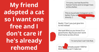 Entitled Potential Pet Owner Berates Shelter Volunteer After Learning the Cat They Saw a Year Ago Has Already Been Adopted