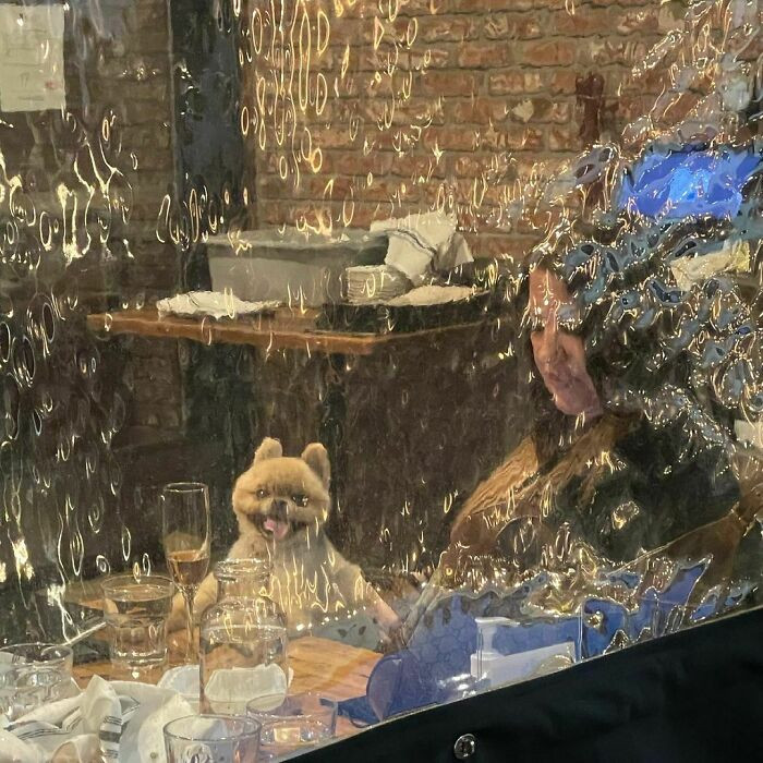 29. My hooman and I are having a good time