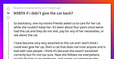 Teen Asks If It Would Be Wrong Not To Give The Cat They’ve Been Looking After For Four Years To “Real” Owners