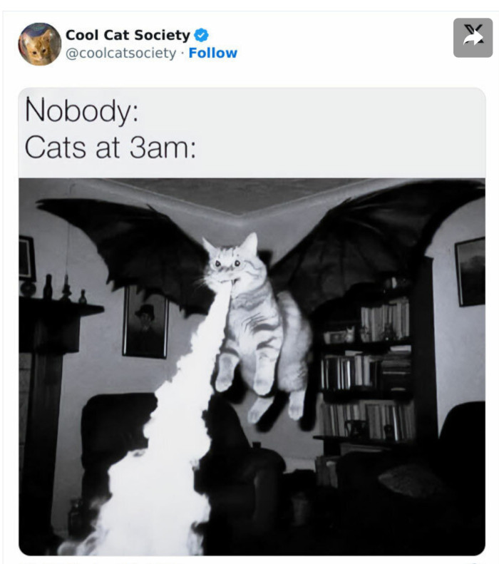 18. Cat’s are always a menace at night