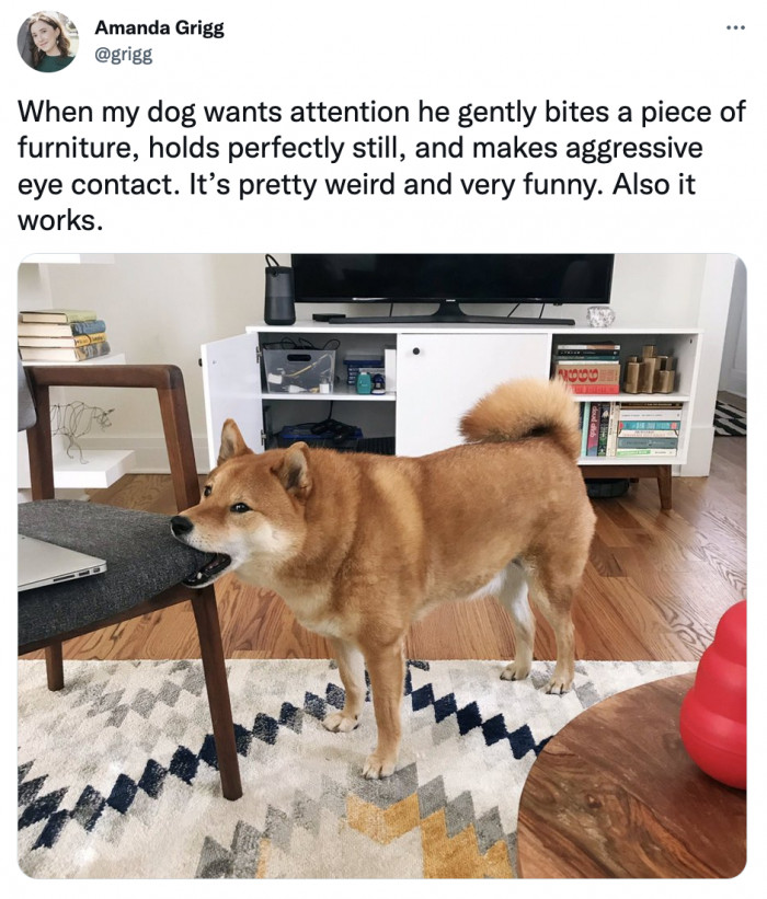 12. What in the passive-aggressive behavior is this?