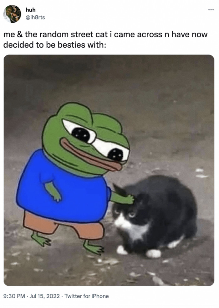 5. This is us every single time we see a cat.