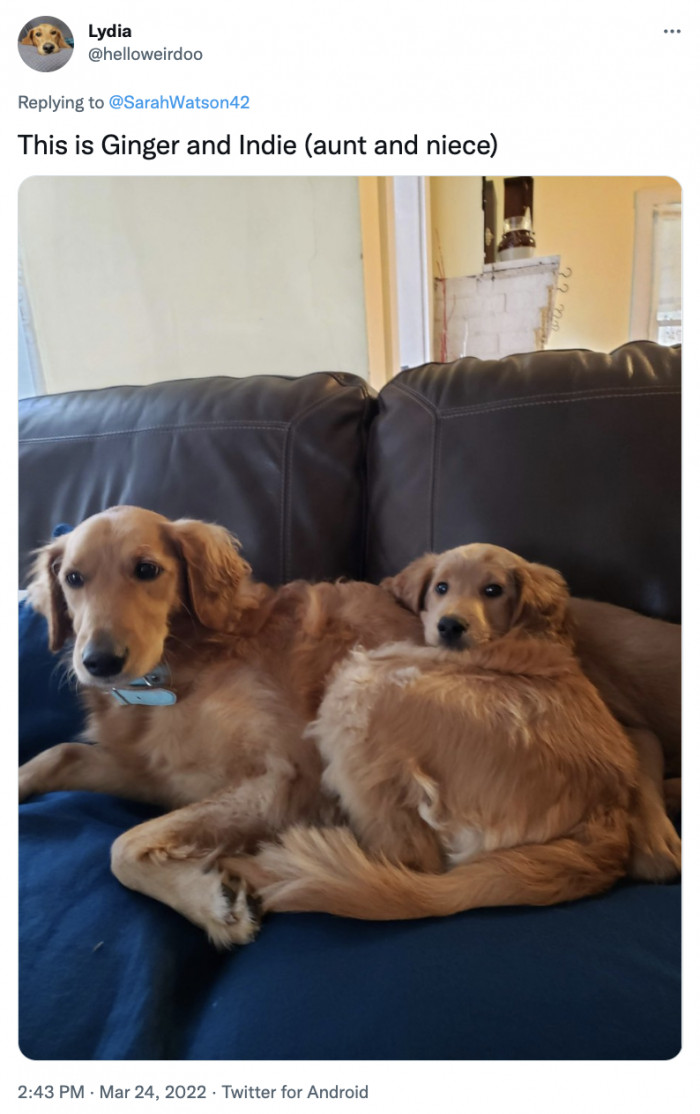 25. They look so alike!