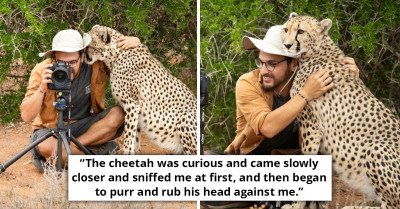This Wildlife Photographer Was Taken By Surprise When He Got A Hug From A Cheetah