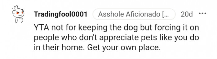 Forcing the dog who don't appreciate pets like you