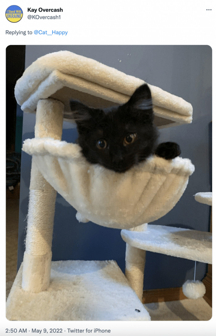 9. Serotonin overdose