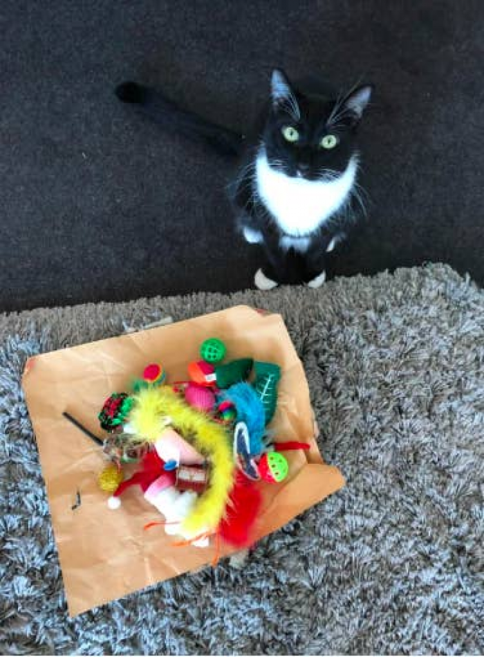 4. Elvie wanted to show off their Christmas gifts: