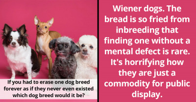 People Share Their Opinions On Dog Breeds That Should Have Never Existed