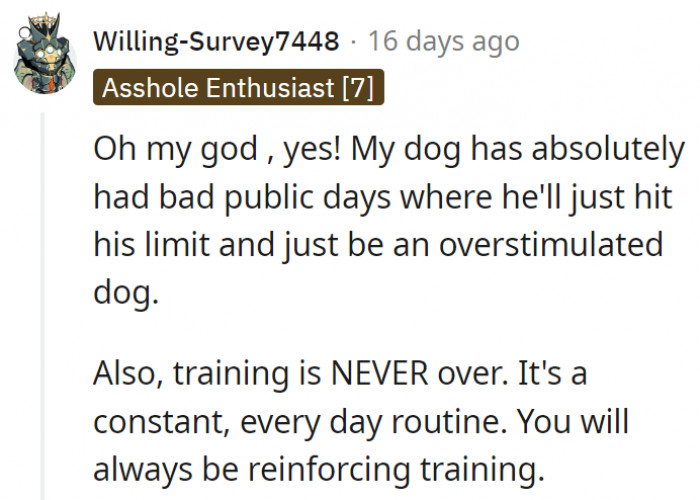 6. Training is never-ending and is a constant everyday cycle