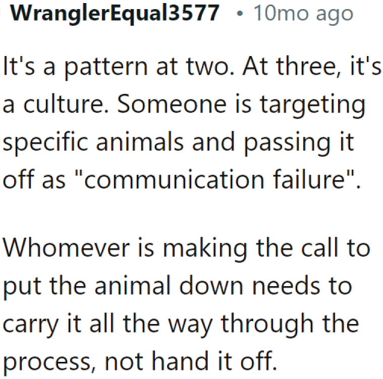 When it happens for the third time, you can only conclude that the shelter did it intentionally.