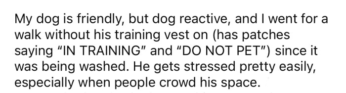 She explained that her dog is friendly but can also be reactive and becomes stressed easily.