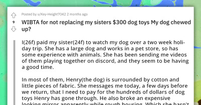 Redditor's Sister Wants To Charge Her $300 For Dog Toys Her Dog Chewed While She Was Petsitting For Money