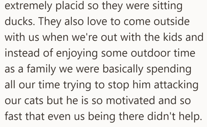 Family time turned into a defensive mission as they tried to shield their gentle cats from nonstop attacks.