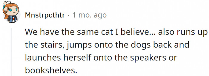 Maybe they are siblings?