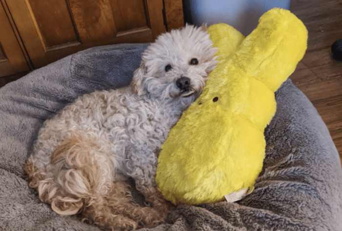 Now she's living a happy life.