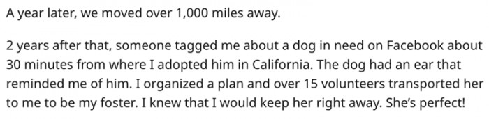 Both doggo siblings were abandoned but at different times