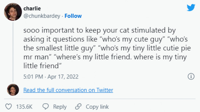 10. It is important to keep your cat stimulated...