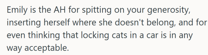 There’s taking things too far, and then there’s suggesting a cat should ride out a hurricane in a car.