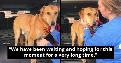 After A Long Wait Of 633 Days, Shelter's Long-Term Canine Resident Finally Finds A Home