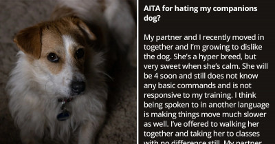 Woman Asks If She's An A**hole For Telling Her Partner He Needs To Train His Dog Or Rehome Her