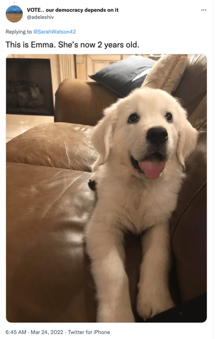 17. "Why, herro there, hooman."