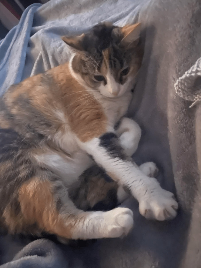 "She walked into my garage in 2020, and I ended up falling in love. She was only worth a flat-screen to the previous owner; she is priceless to me now!"