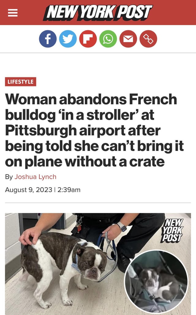 This doggo was abandoned in a stroller at the airport